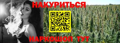 spice Моздок