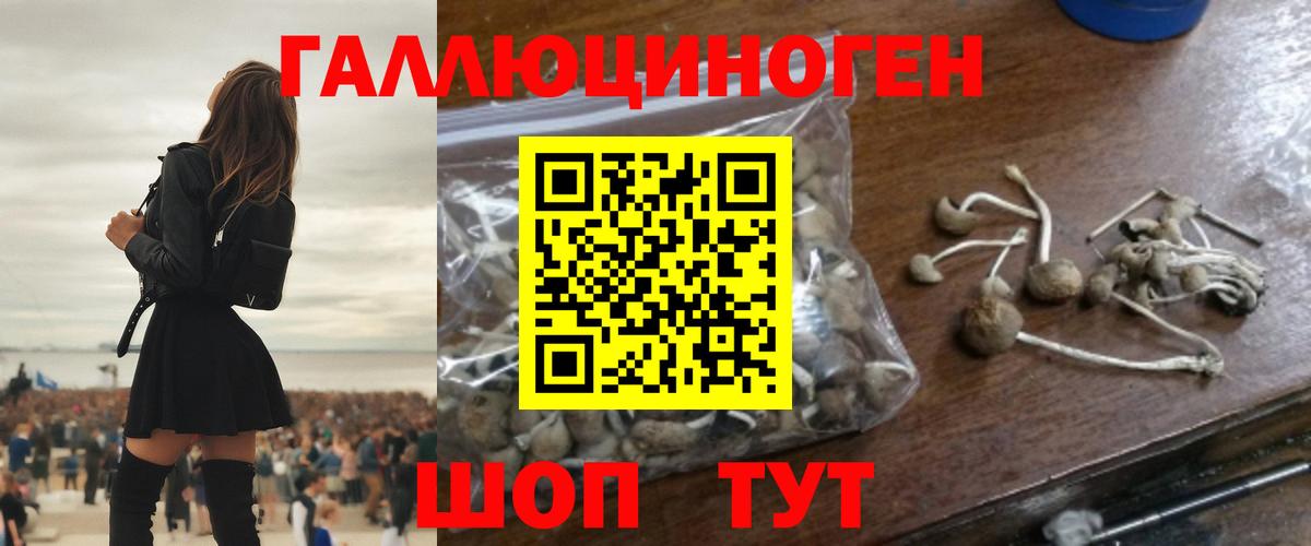 Псилоцибиновые грибы Cubensis  Галлюциногенные грибы прущие грибы  Вход с VPN  Пятигорск 